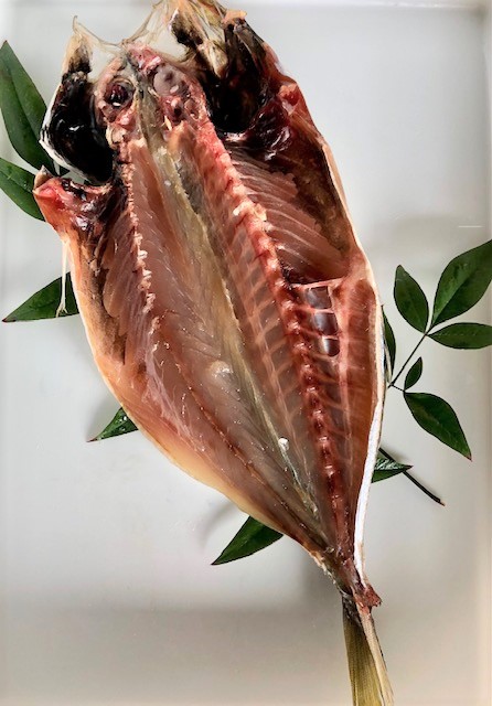 黒部産　開きあじ　１枚