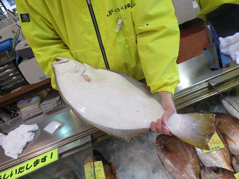 富山の伝統　　『ひらめ昆布〆』　　おいしさギュっと！！